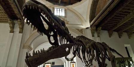 Museo Regionale di Scienze Naturali