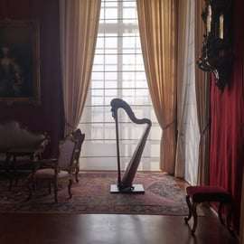 Reggia di Venaria: visita guidata tra Sala di Diana e Bucintoro