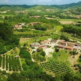 Tour in cantina con degustazione nel Monferrato, Albugnano