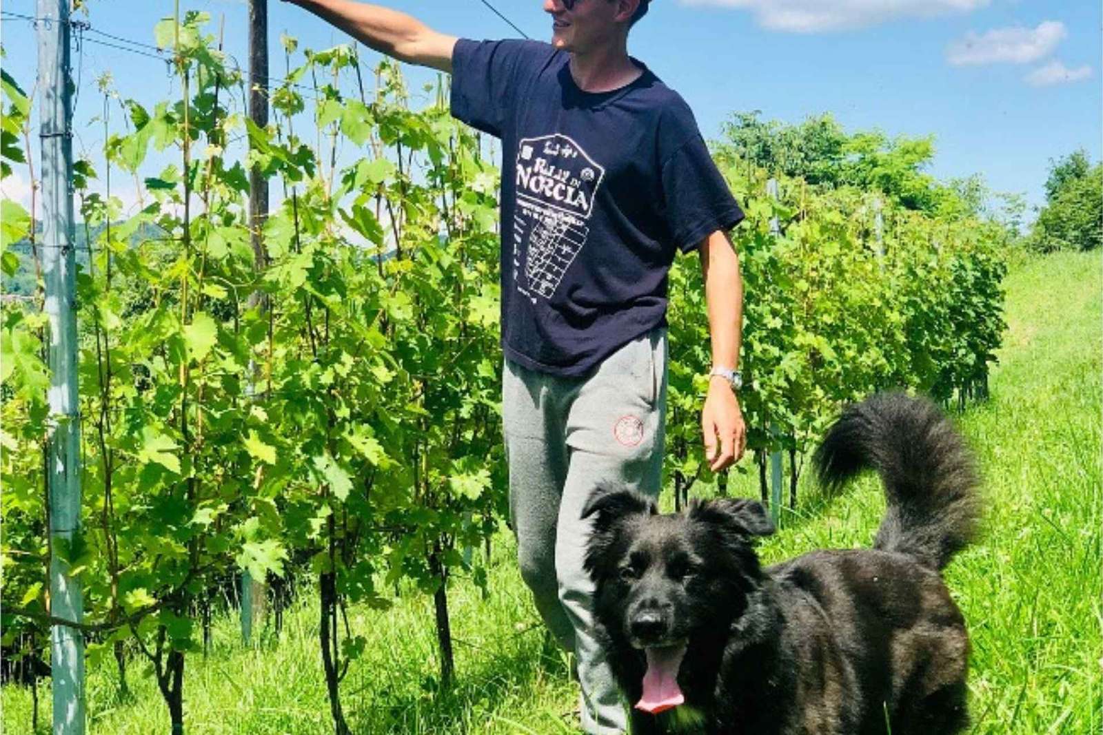 Degustazione di vini e visita alle cantine vicino ad Asti e Torino