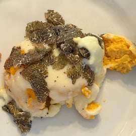 Caccia al tartufo in Piemonte con i cani e pranzo in trattoria