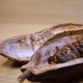 Degustazione di cioccolato fine a Torino