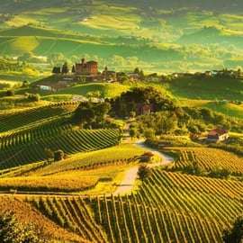 Tour di un giorno nella regione delle Langhe con degustazione di vini