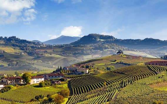 Private Tour: Barolo Wine Tasting in Langhe area from Torino
