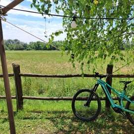 Tour in e-bike vicino a Torino: Cascina Blu e mirtilli