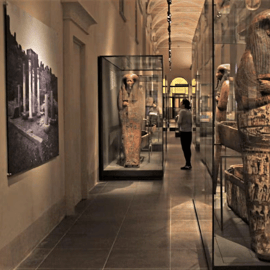 Torino: Museo Egizio con guida privata e skip-the-line