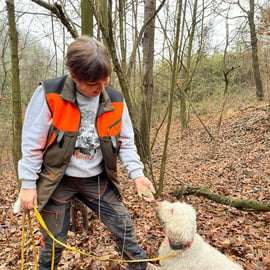 Caccia al tartufo in Piemonte con i cani e pranzo in trattoria