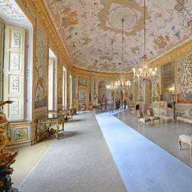 Palazzina di Caccia di Stupinigi: biglietto con audioguida
