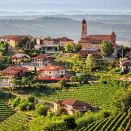 Tour di un giorno nella regione delle Langhe con degustazione di vini