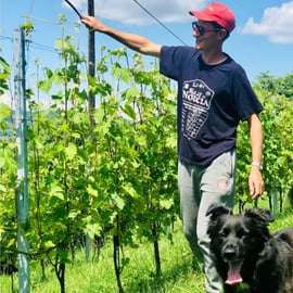 Degustazione di vini e visita alle cantine vicino ad Asti e Torino