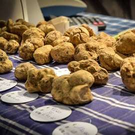 Fiera del Tartufo di Alba con guida e treno da Torino