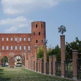 Torino: tour panoramico guidato a piedi
