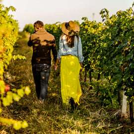 Torino: Langhe Wine Tour con trasferimenti privati e pranzo
