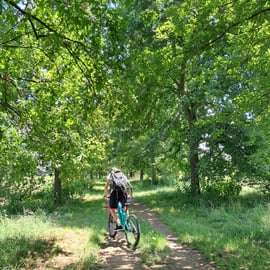 Torino: tour in e-bike, Reggia di Venaria, Giardini Reali e Castello