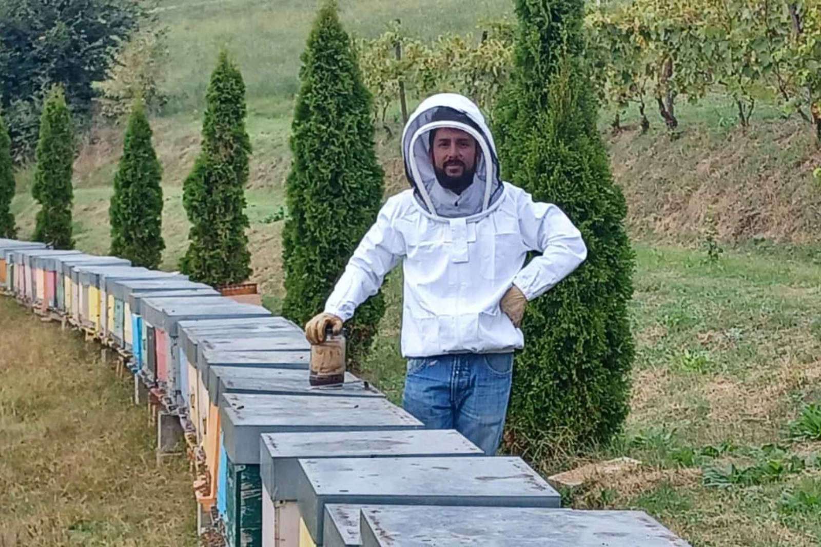 Tour dell'apicoltura e degustazione di miele nel Monferrato