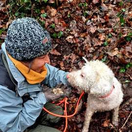 Caccia al tartufo in Piemonte con i cani e pranzo in trattoria