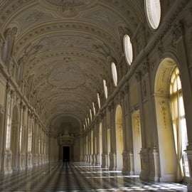 Da Torino: Tour Privato La Venaria Reale con Biglietto d'ingresso