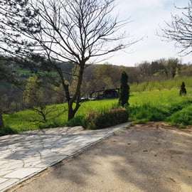 Tour dell'apicoltura e degustazione di miele nel Monferrato