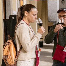 Torino in un tour originale per curiosi e amanti del vino