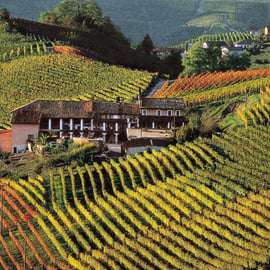 Tour di un giorno nella regione delle Langhe con degustazione di vini