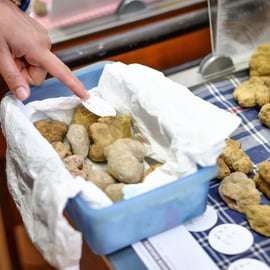 Fiera del Tartufo di Alba con guida e treno da Torino