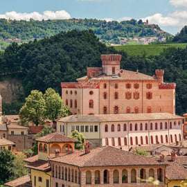 Tour privato: Degustazione di Barolo nelle Langhe da Torino
