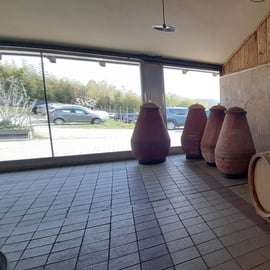 Da Torino: tour enogastronomico guidato nel Canavese