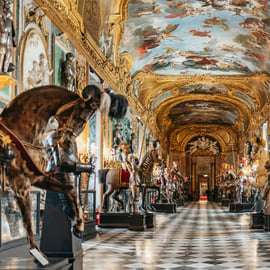 Visita al Palazzo Reale di Torino con guida e Armeria
