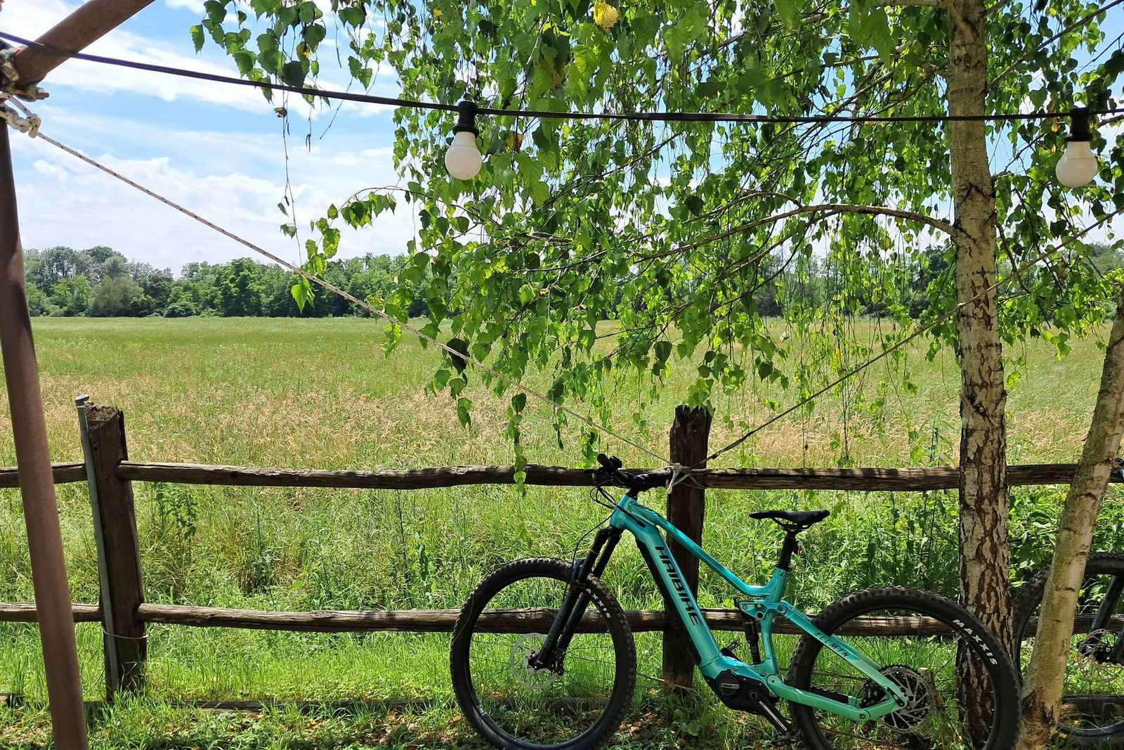 Tour in e-bike vicino a Torino: Cascina Blu e mirtilli