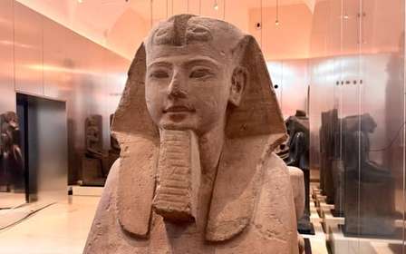 Biglietto del Museo Egizio di Torino e audioguida su smartphone
