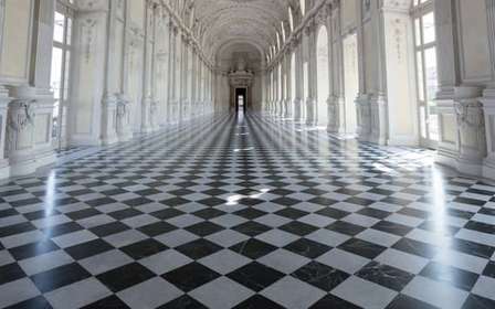 Da Torino: Tour Privato La Venaria Reale con Biglietto d'ingresso