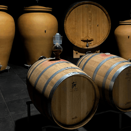 Visita alle cantine biologiche vicino a Torino con degustazione di vini e cibo