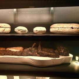 Museo Egizio Torino: visita in autonomia con audioguida digitale