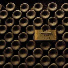 Da Torino: Tour di degustazione di Barolo e Barbaresco