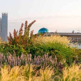 Torino: Tour privato del quartiere Mauto e Fiat Lingotto