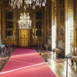 Torino: tour privato di Palazzo Reale, Cappella e Armeria