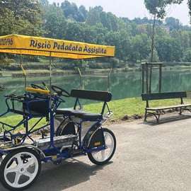 Torino: Parco del Valentino Tour in Risciò