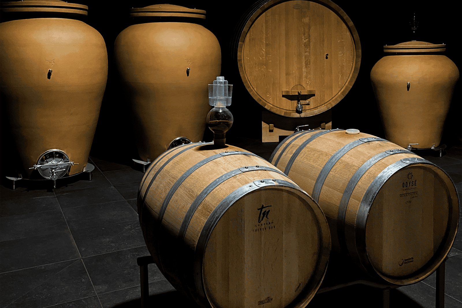 Visita alle cantine biologiche vicino a Torino con degustazione di vini e cibo