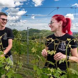 Tour in cantina con degustazione nel Monferrato, Albugnano