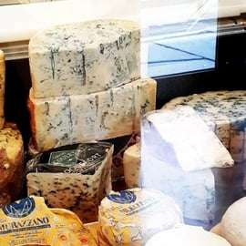 Degustazione di formaggi a Torino in un negozio storico