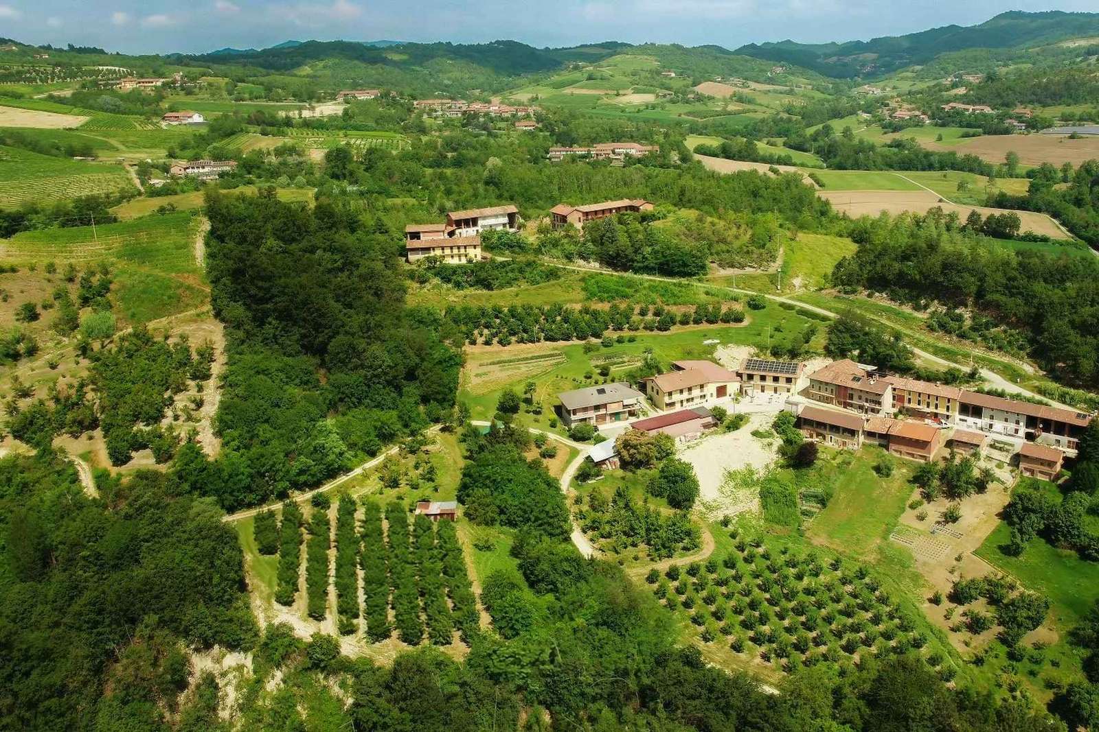 Tour in cantina con degustazione nel Monferrato, Albugnano