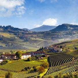 Tour privato: Degustazione di Barolo nelle Langhe da Torino