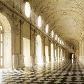 Torino+Piemonte Card 5 giorni: musei e residenze reali
