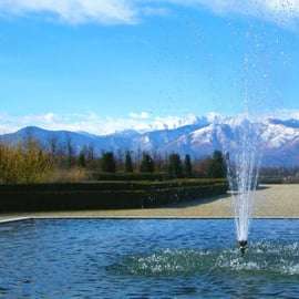 Venaria: Visita Guidata alla Reggia e ai Giardini