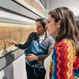 Visita guidata al Museo Egizio di Torino, biglietto incluso