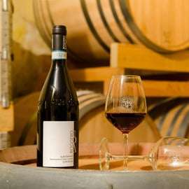 Degustazione di vini e visita alle cantine vicino ad Asti e Torino