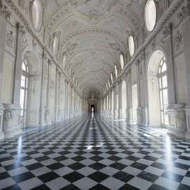 Da Torino: Tour Privato La Venaria Reale con Biglietto d'ingresso