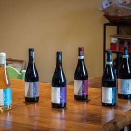 Tour in cantina con degustazione nel Monferrato, Albugnano