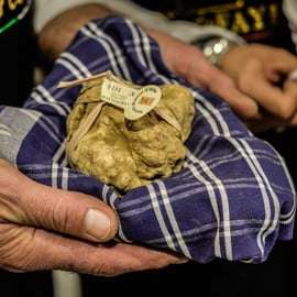 Fiera del Tartufo di Alba con guida e treno da Torino