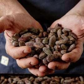 Tour guidato e degustazione della Fabbrica di Cioccolato di Torino